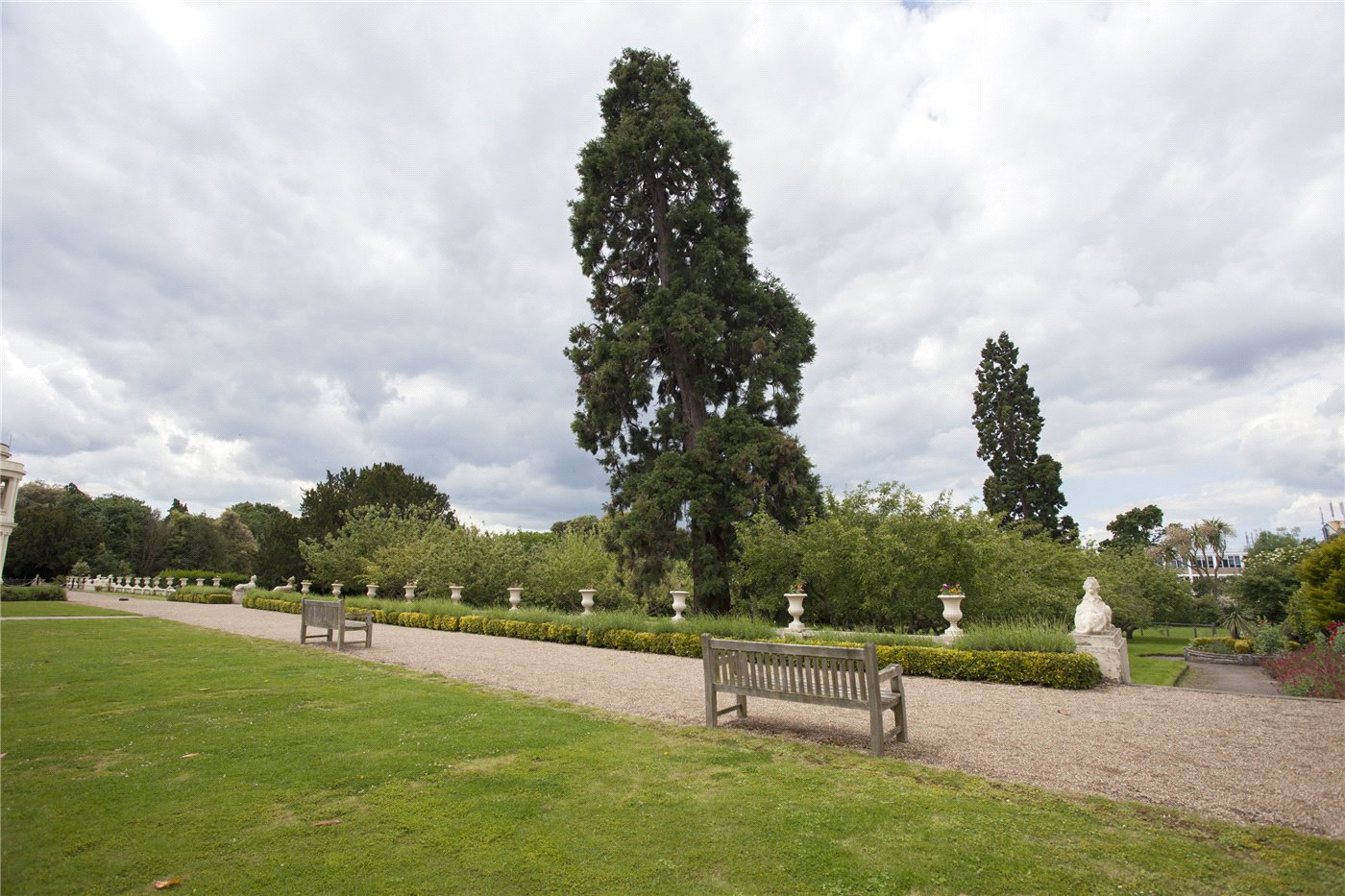 Grounds